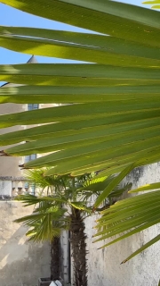 Découvrir les sublimes châteaux de la Loire, tout en séjournant dans l’un d’eux, dans un cadre magnifique, un havre de paix pour vous ressourcer.

Le calme et la tranquillité à une petite heure de Paris en TGV le @chateau_des_arpentis_amboise 

Réservation sur www.chateaudesarpentis.com 

#chateaudesarpentis #chateau #castle #hotel #chateauhotel #castlehotel #chateauxdelaloire #besthotel #loirevalleycastles #tourainevaldeloire #touraineloirevalley #amboise #travelgram #loirevalley #loirevalleytourism #french #france #travel #voyage #beautifulhotels