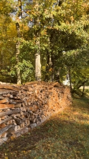 Couleurs d’Automne 

Découvrir les sublimes châteaux de la Loire, tout en séjournant dans l’un d’eux, dans un cadre magnifique, un havre de paix pour vous ressourcer.

Le calme et la tranquillité à une petite heure de Paris en TGV le @chateau_des_arpentis_amboise 

Réservation sur www.chateaudesarpentis.com 

#chateaudesarpentis #chateau #castle #hotel #chateauhotel #castlehotel #chateauxdelaloire #besthotel #loirevalleycastles #tourainevaldeloire #touraineloirevalley #amboise #travelgram #loirevalley #loirevalleytourism #french #france #travel #voyage #besthotel