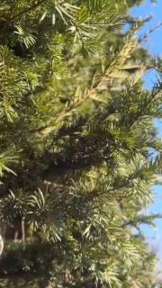 La féerie de Noël s’installe au château
Découvrir les sublimes châteaux de la Loire, tout en séjournant dans l’un d’eux, dans un cadre magnifique, un havre de paix pour vous ressourcer.
Le calme et la tranquillité à une petite heure de Paris en TGV le @chateau_des_arpentis_amboise
Réservation sur www.chateaudesarpentis.com
#noelentouraine #christmas #loirevalley